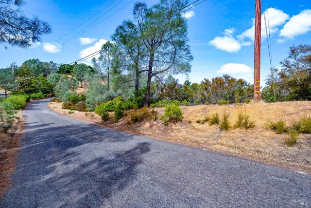 a view of dirt yard with a large tree