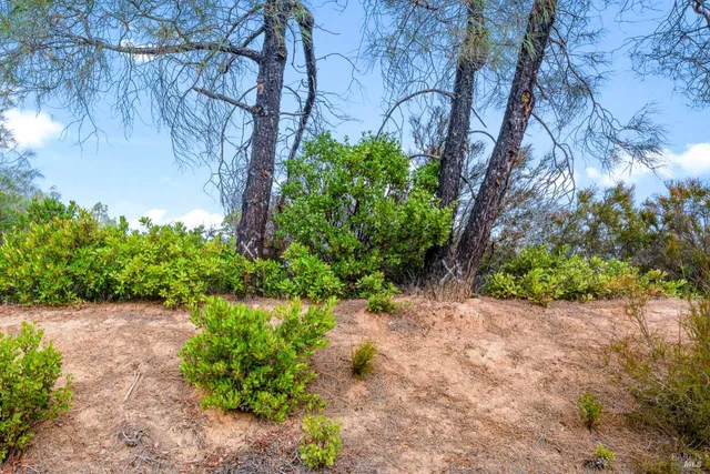 a backyard of a house with lots of green space