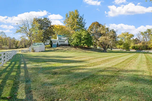 a dining room with wooden floor and a rug