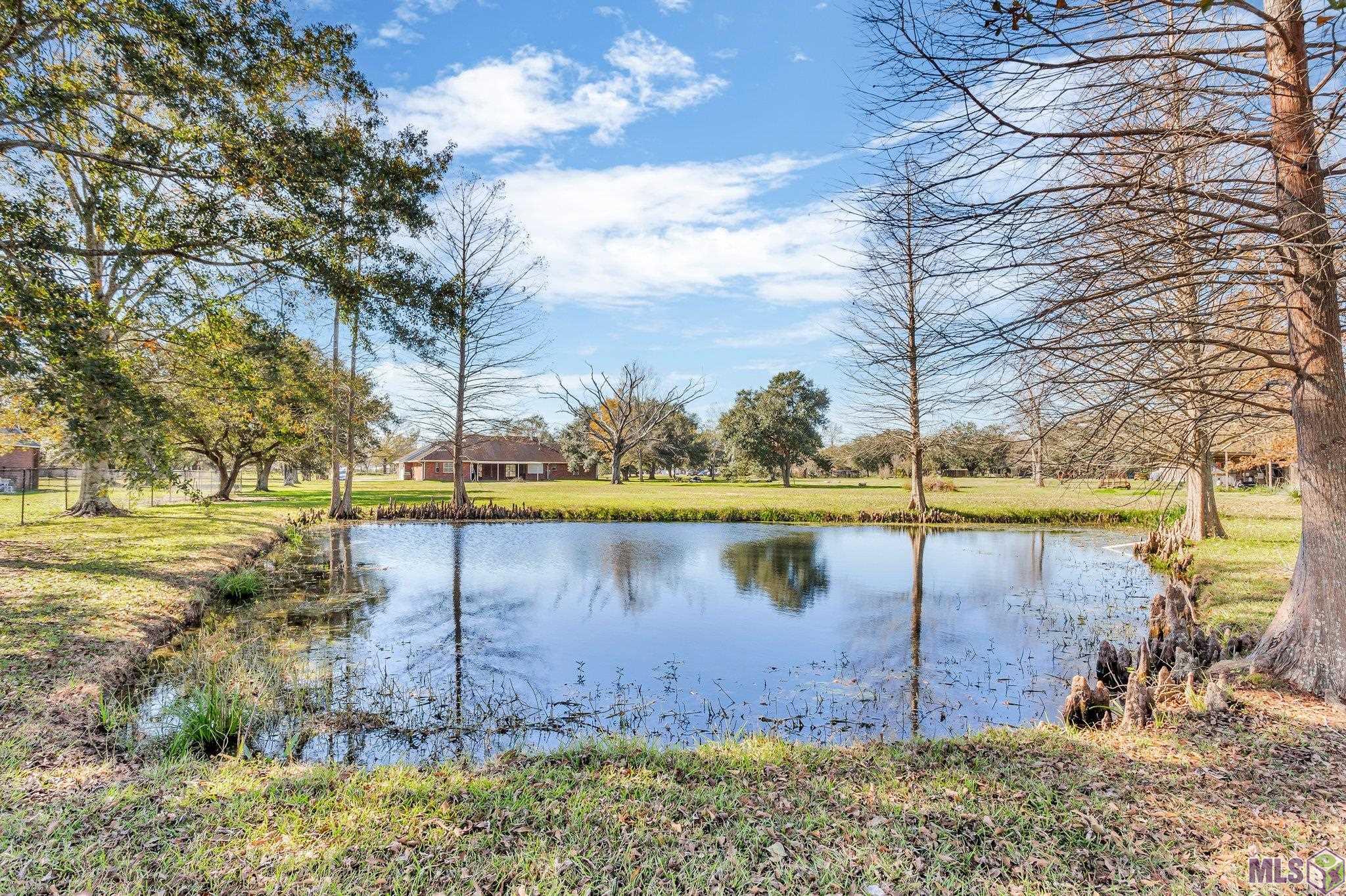 42056 Jamie Road Prairieville, LA 70769 - Photo 7 of 29 Gallery Image 7