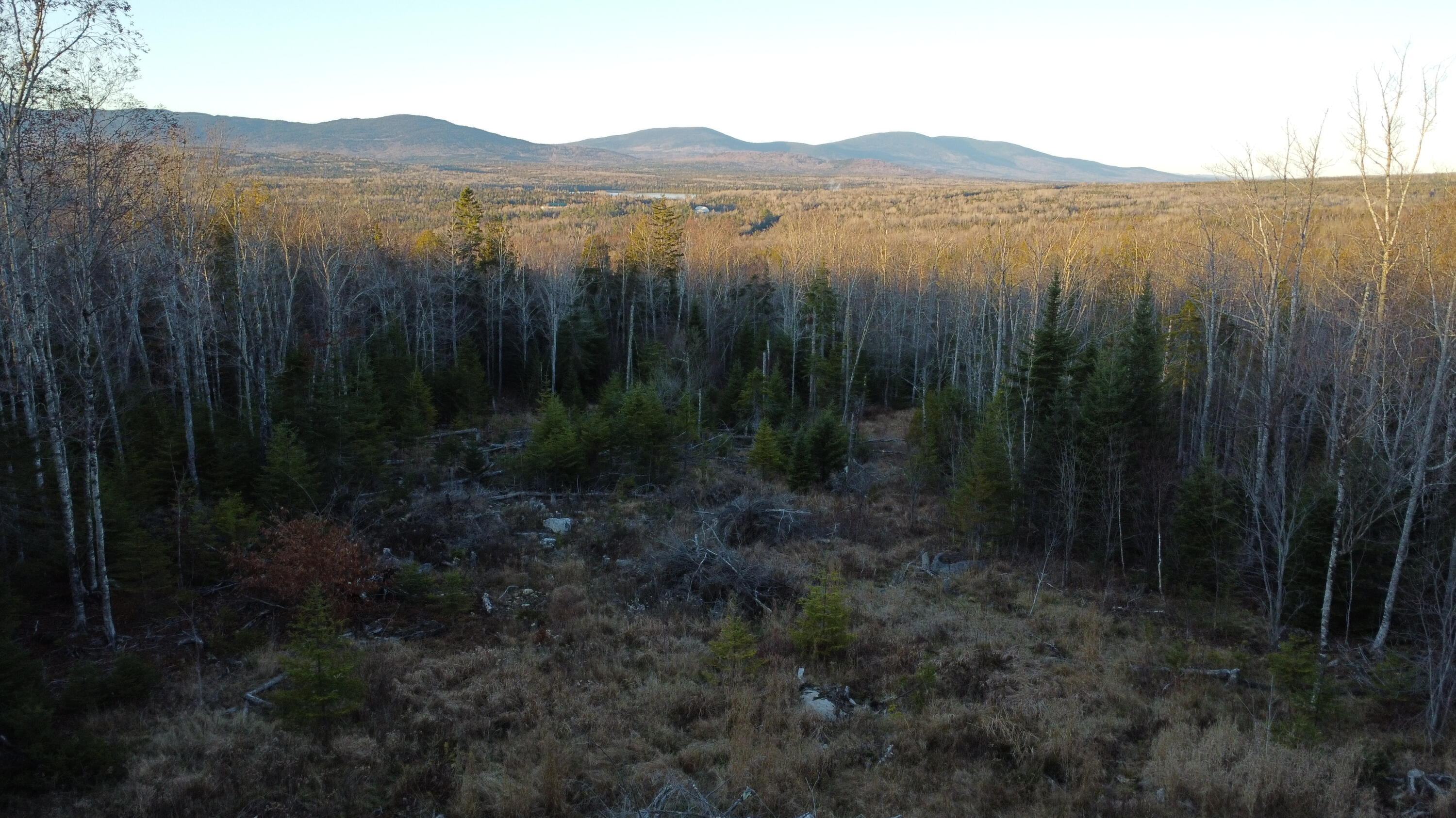 Lot 20 Moose Rdg Road Dallas Plt, ME 04970 - Photo 12 of 30 DJI_0103