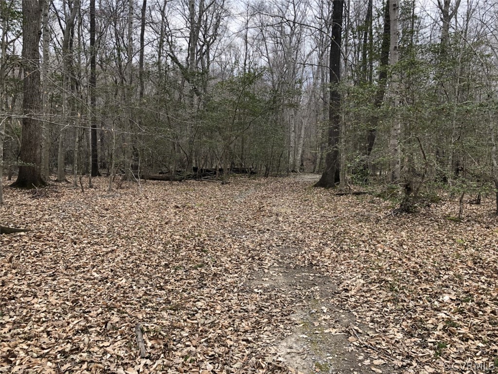 6200 Claypoint Road Chesterfield, VA 23832 - Photo 1 of 5 a view of a pathway of a yard