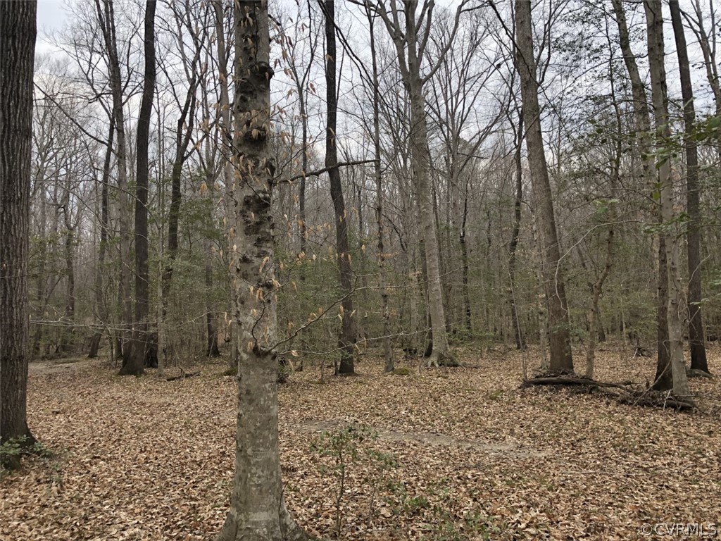 6200 Claypoint Road Chesterfield, VA 23832 - Photo 2 of 5 a view of an outdoor space