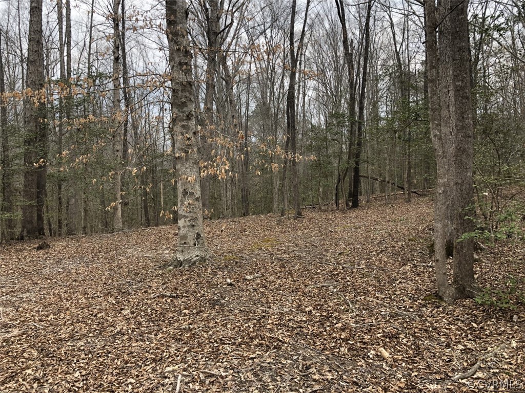 6200 Claypoint Road Chesterfield, VA 23832 - Photo 4 of 5 a view of a yard with trees