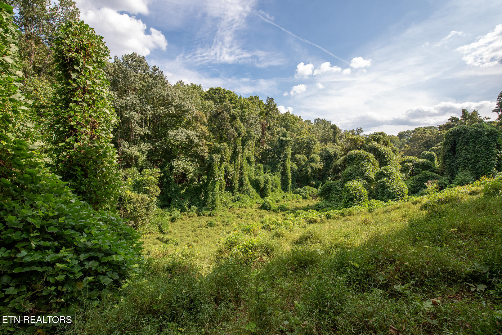 3696 Crown Point Road Louisville, TN 37777 - Photo 15 of 52 DSC_3234