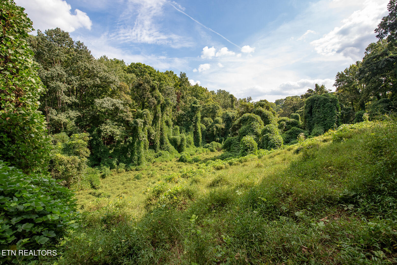 3696 Crown Point Road Louisville, TN 37777 - Photo 17 of 52 DSC_3233