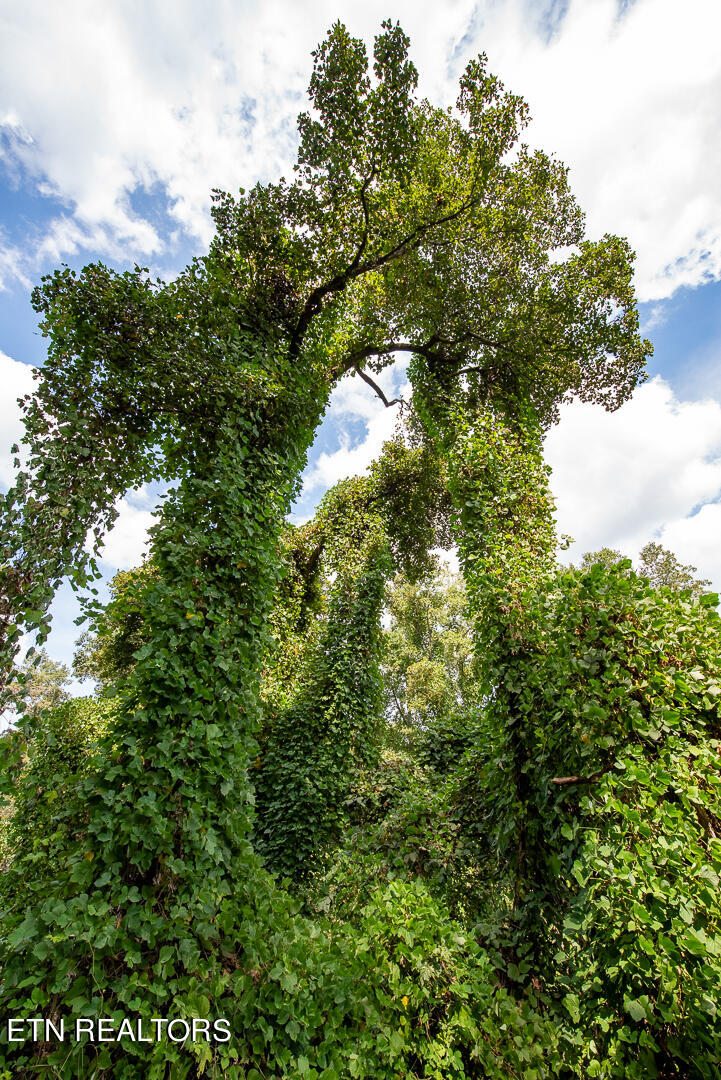 3696 Crown Point Road Louisville, TN 37777 - Photo 18 of 52 DSC_3235
