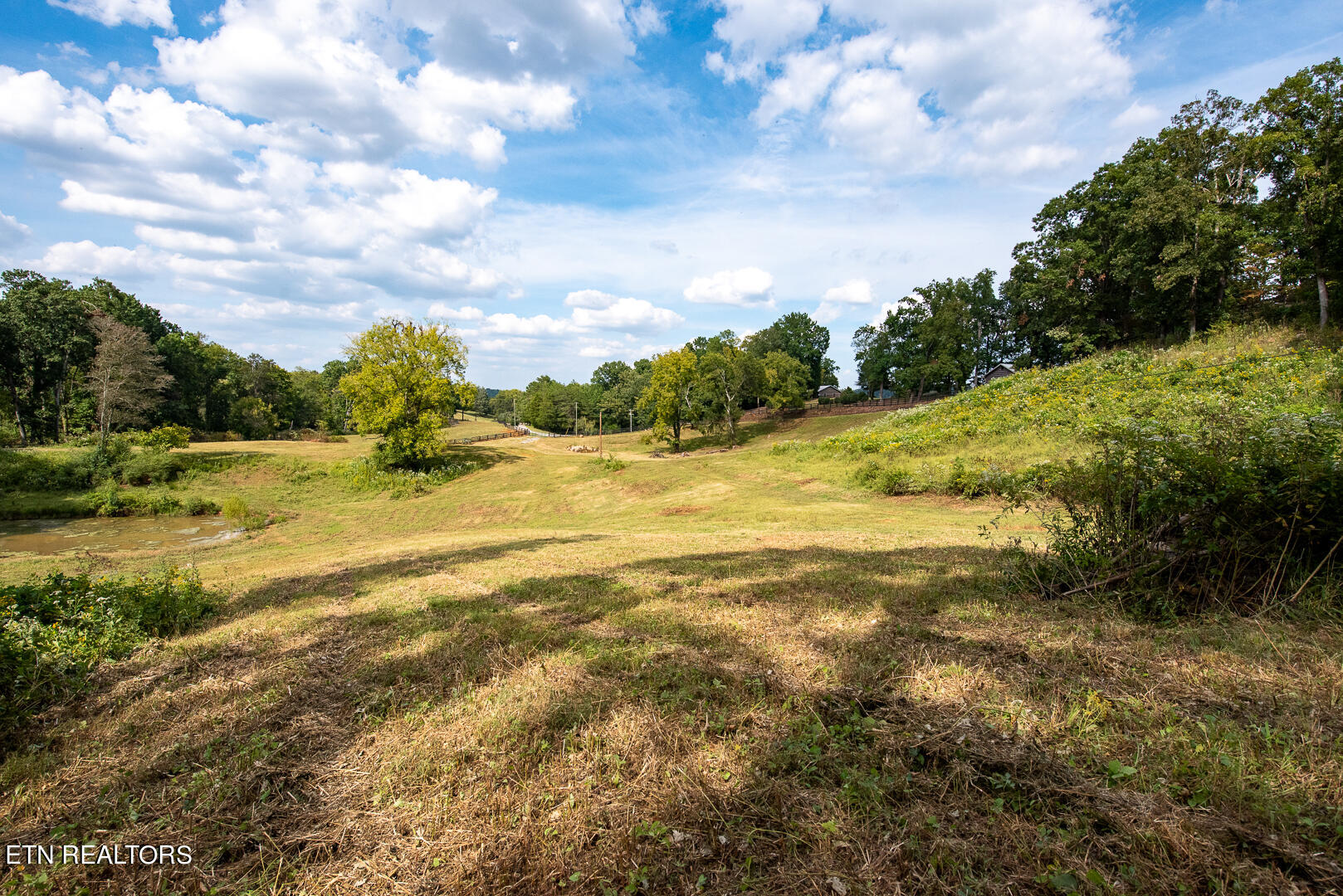 3696 Crown Point Road Louisville, TN 37777 - Photo 19 of 52 DSC_3241