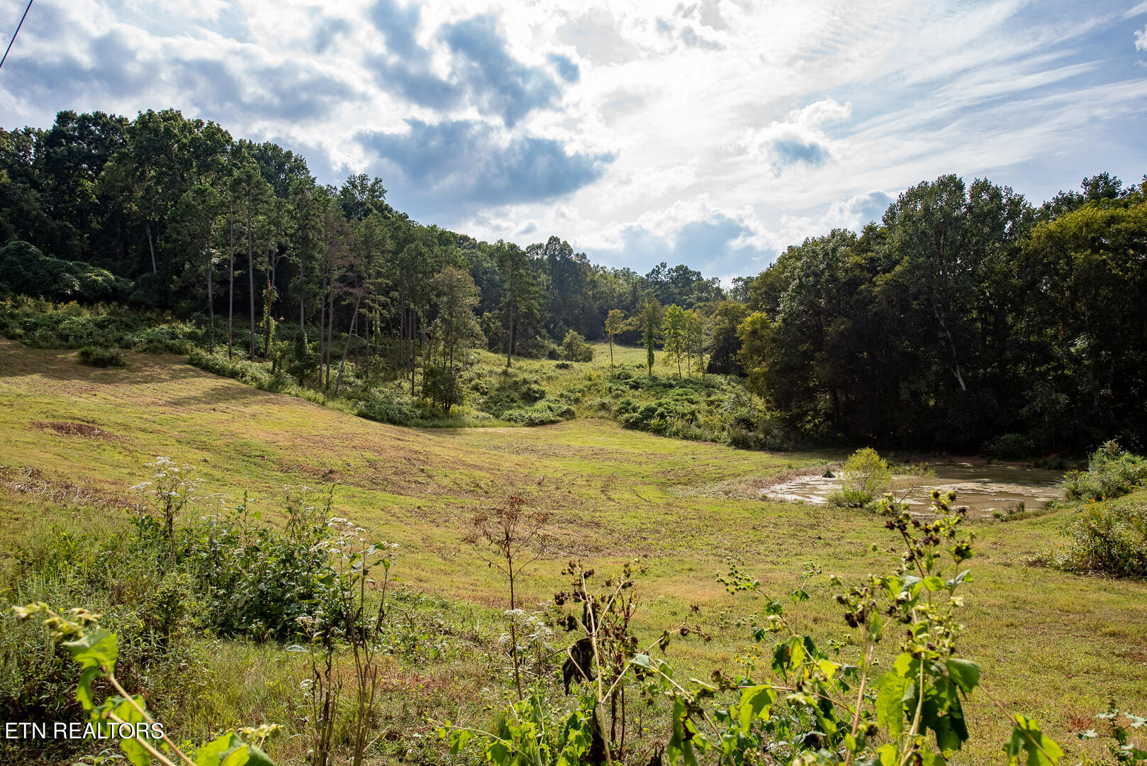 3696 Crown Point Road Louisville, TN 37777 - Photo 26 of 52 DSC_3243
