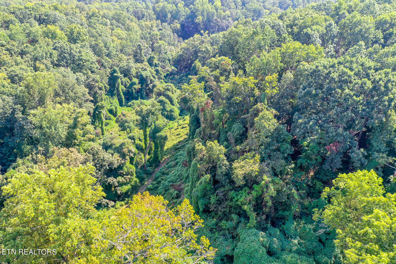 3696 Crown Point Road Louisville, TN 37777 - Photo 33 of 52 DSC_3495-10