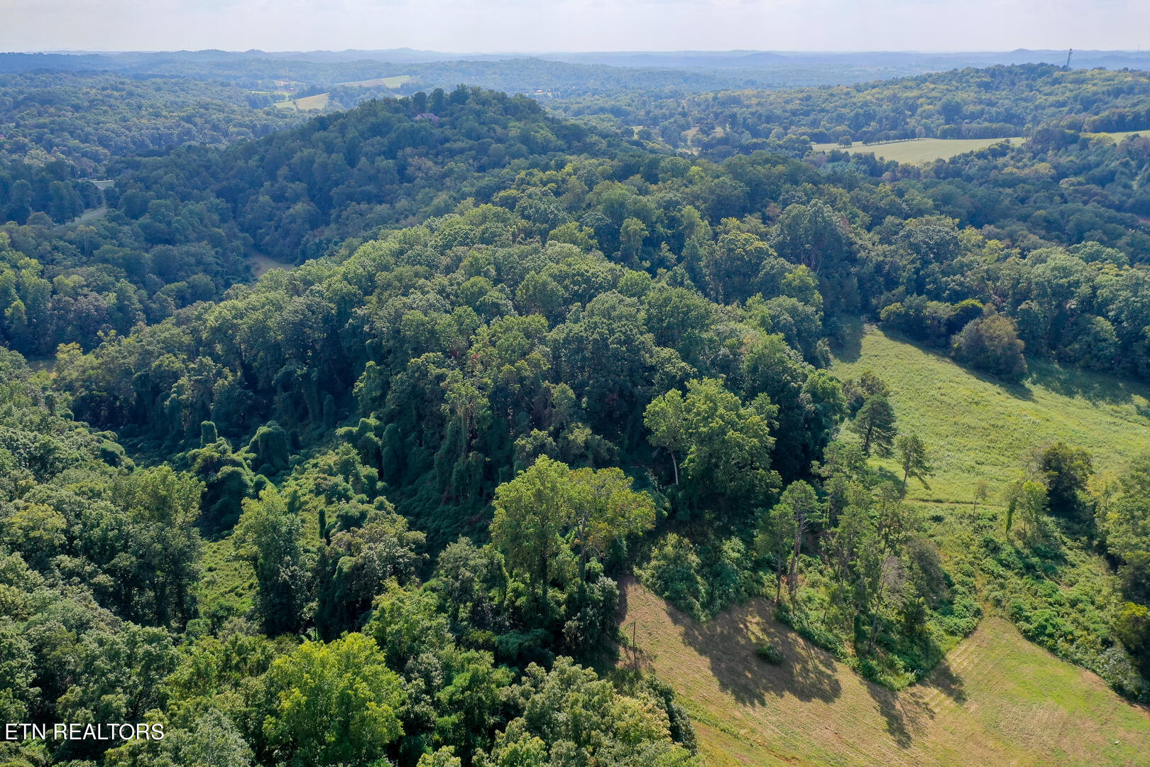 3696 Crown Point Road Louisville, TN 37777 - Photo 50 of 52 DSC_3495-19