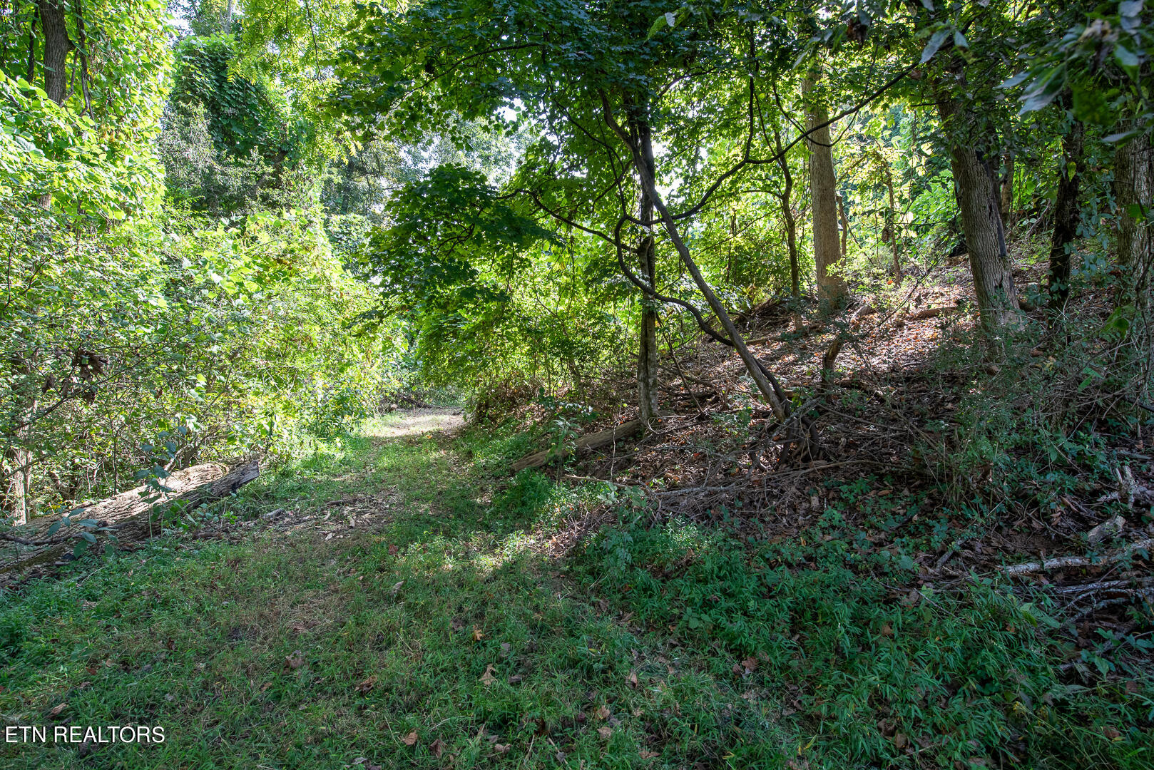 3696 Crown Point Road Louisville, TN 37777 - Photo 6 of 52 DSC_3227