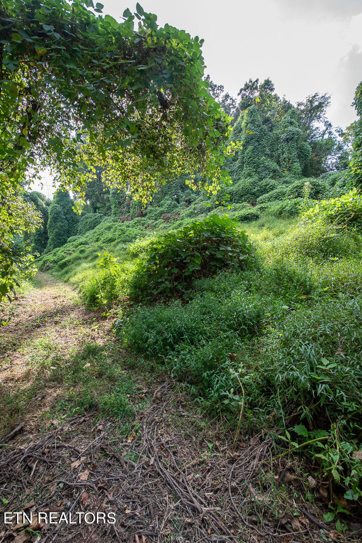 3696 Crown Point Road Louisville, TN 37777 - Photo 7 of 52 DSC_3228