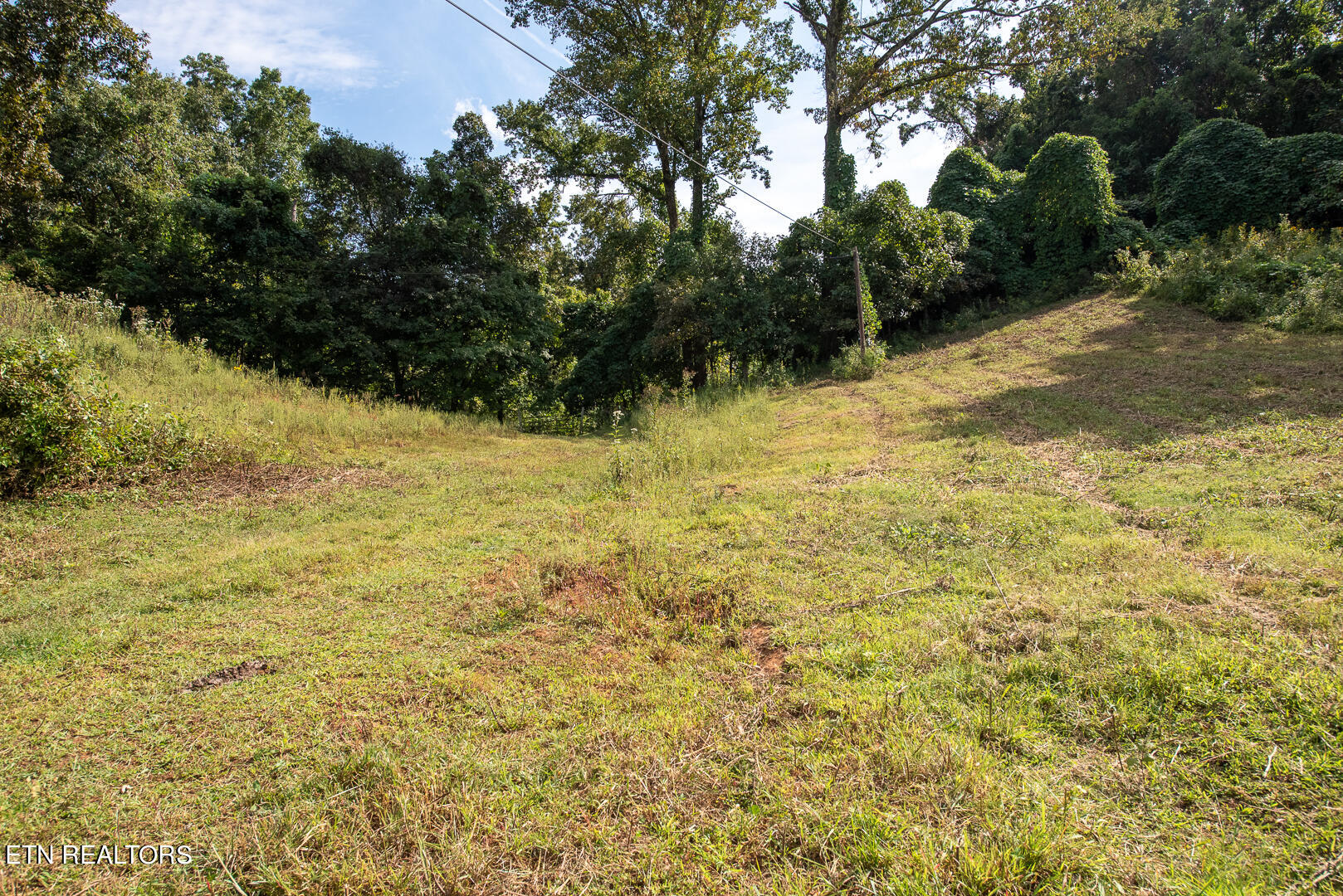 3696 Crown Point Road Louisville, TN 37777 - Photo 8 of 52 DSC_3225