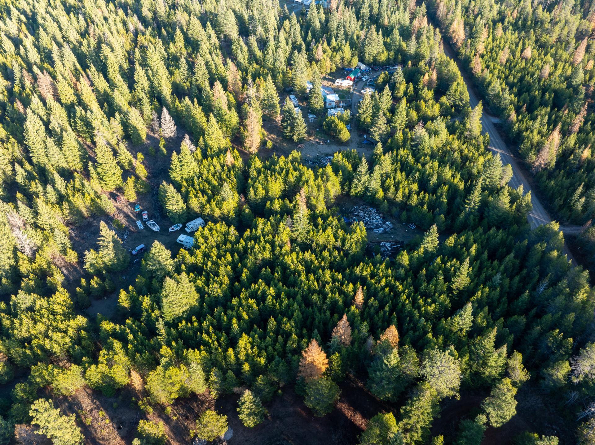 2141 Driskill Road Newport, WA 99156 - Photo 2 of 8