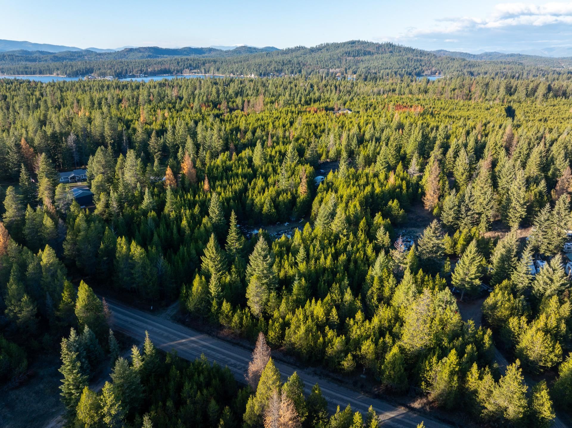 2141 Driskill Road Newport, WA 99156 - Photo 3 of 8