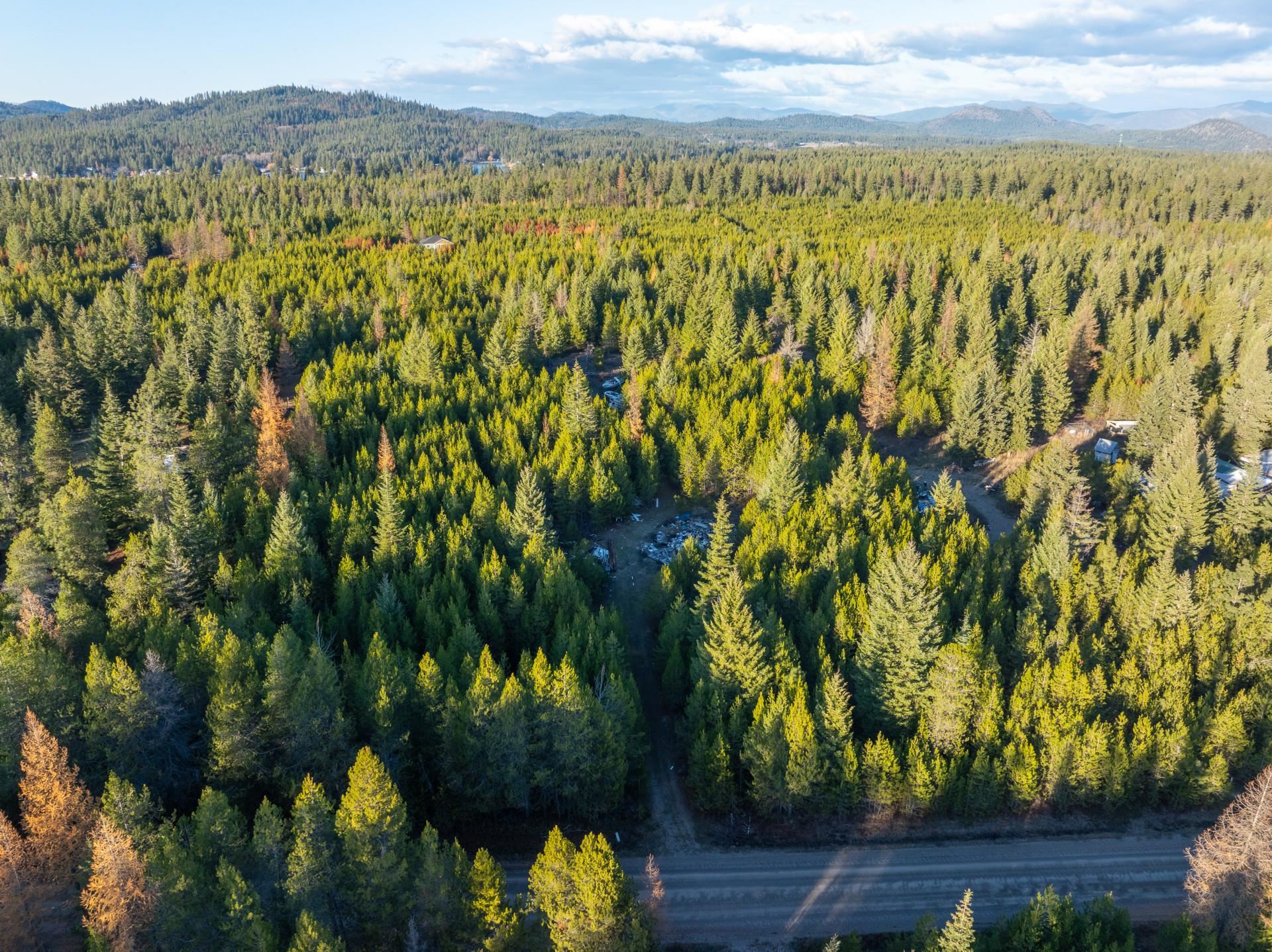 2141 Driskill Road Newport, WA 99156 - Photo 4 of 8