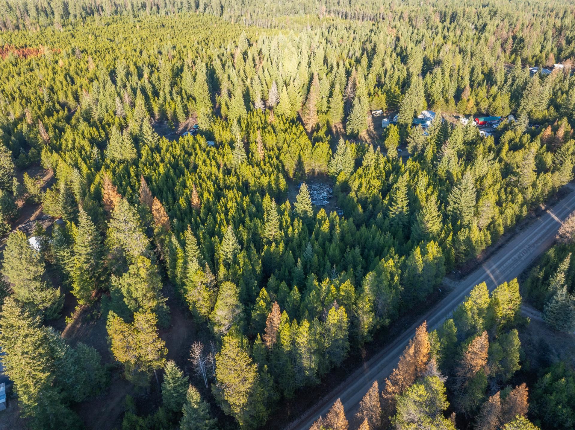 2141 Driskill Road Newport, WA 99156 - Photo 6 of 8