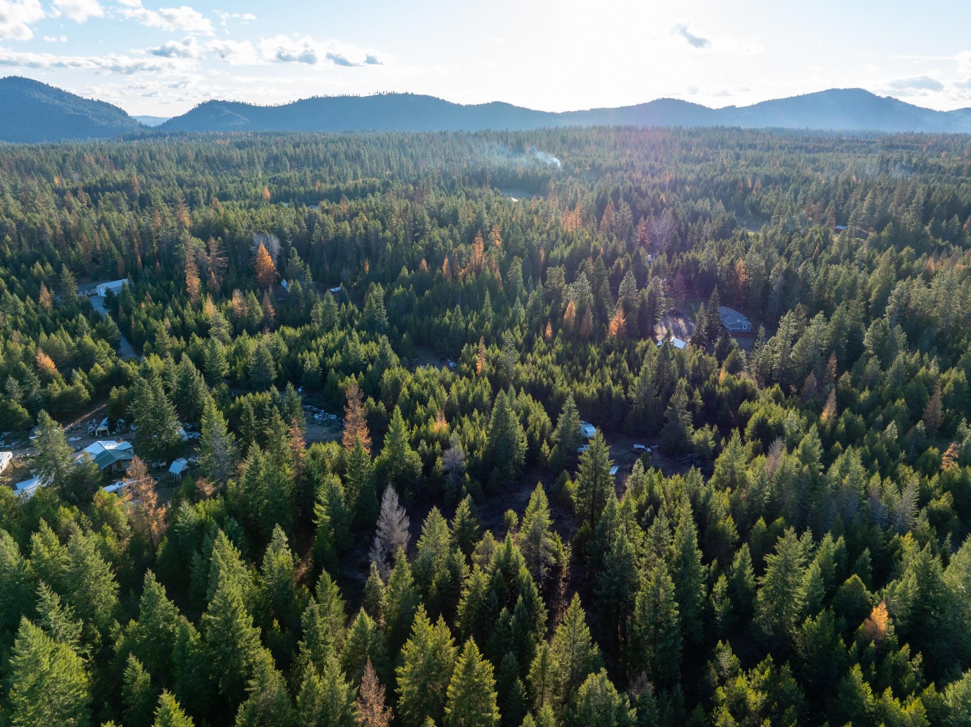 2141 Driskill Road Newport, WA 99156 - Photo 7 of 8