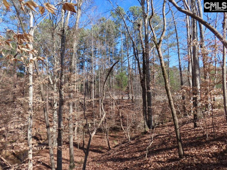 637 Cook Road Ridgeway, SC 29130 - Photo 26 of 51