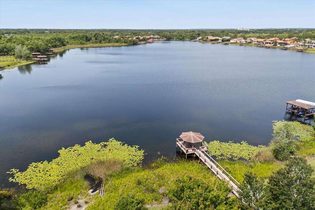 1554 Lake Rhea Drive Windermere, FL 34786 - Photo 59 of 59