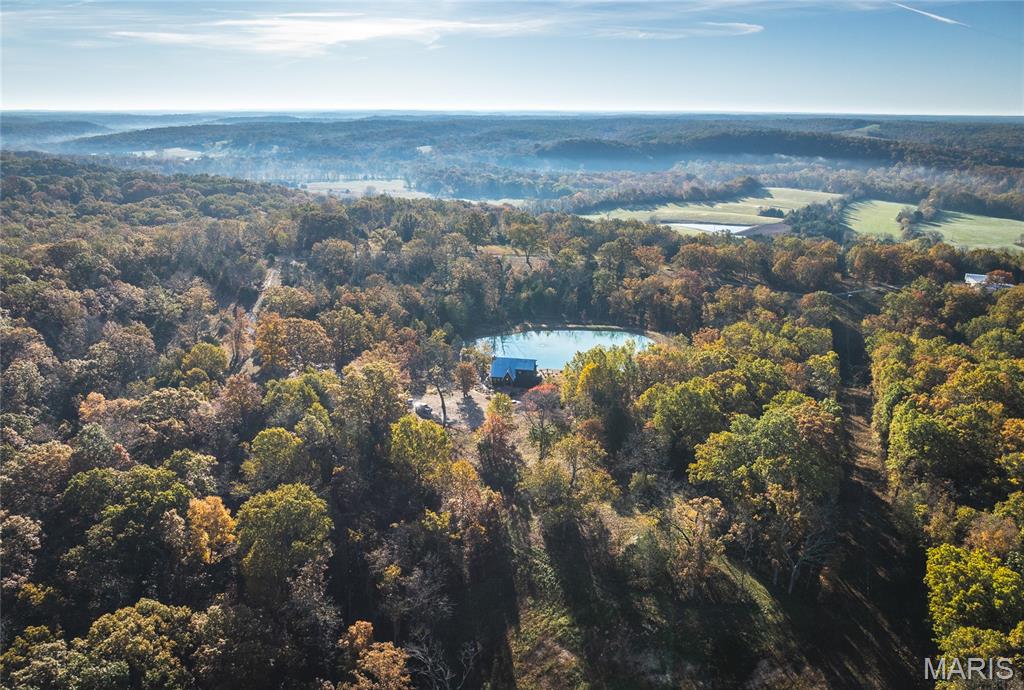 320 Cedar Ford Road Steelville, MO 65565 - Photo 11 of 71