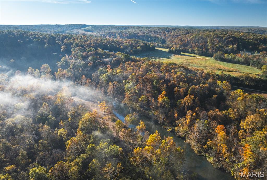 320 Cedar Ford Road Steelville, MO 65565 - Photo 5 of 71