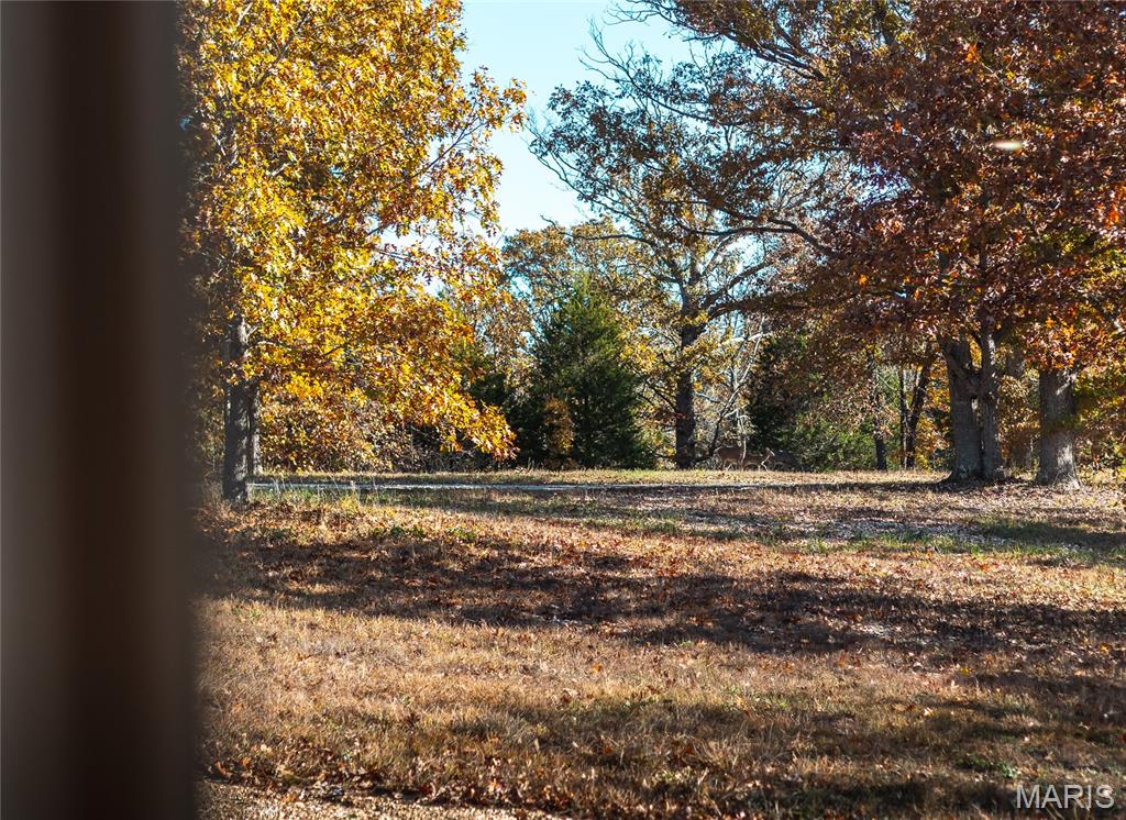 320 Cedar Ford Road Steelville, MO 65565 - Photo 52 of 71