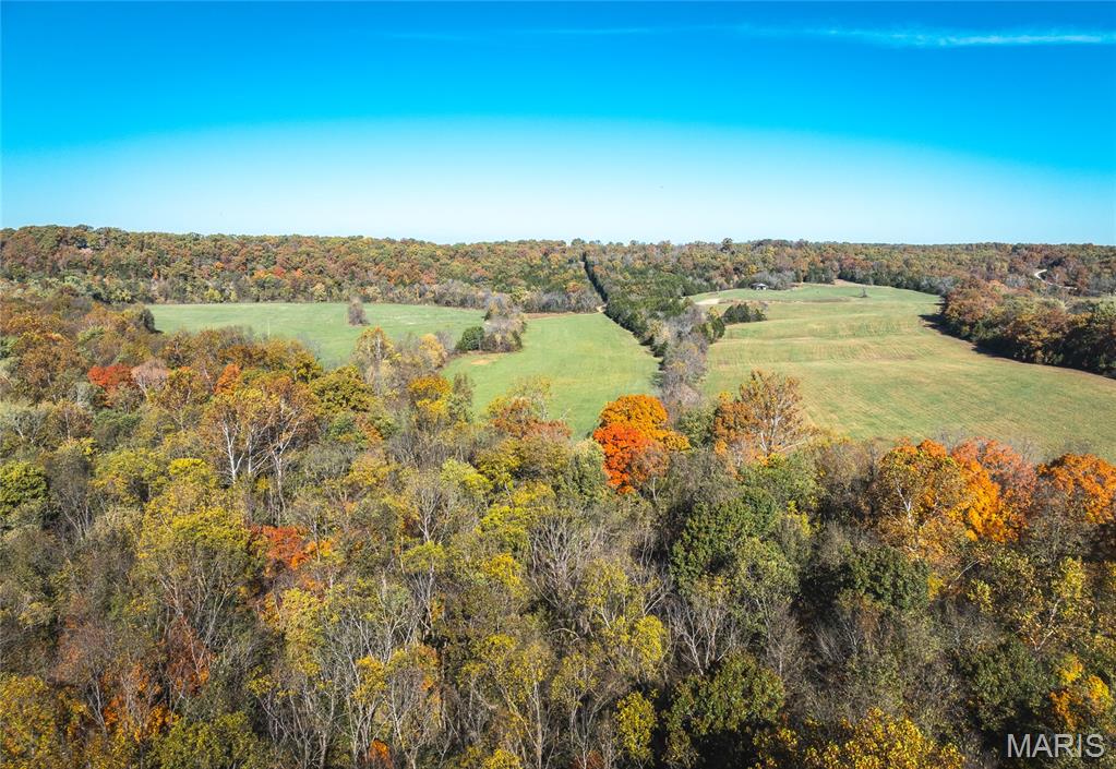 320 Cedar Ford Road Steelville, MO 65565 - Photo 64 of 71