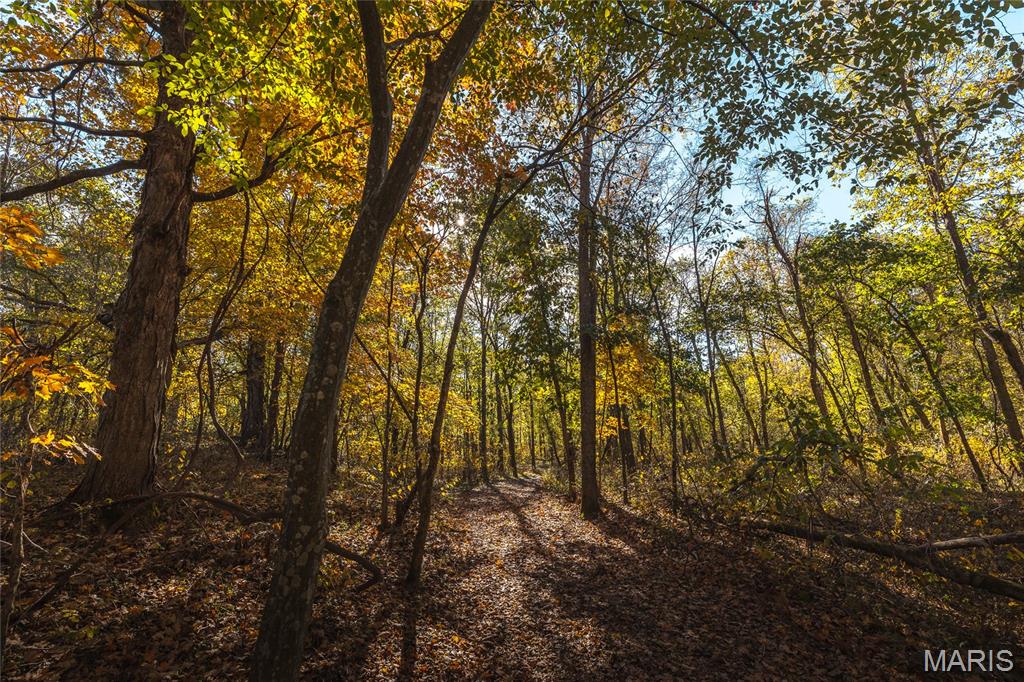 320 Cedar Ford Road Steelville, MO 65565 - Photo 67 of 71