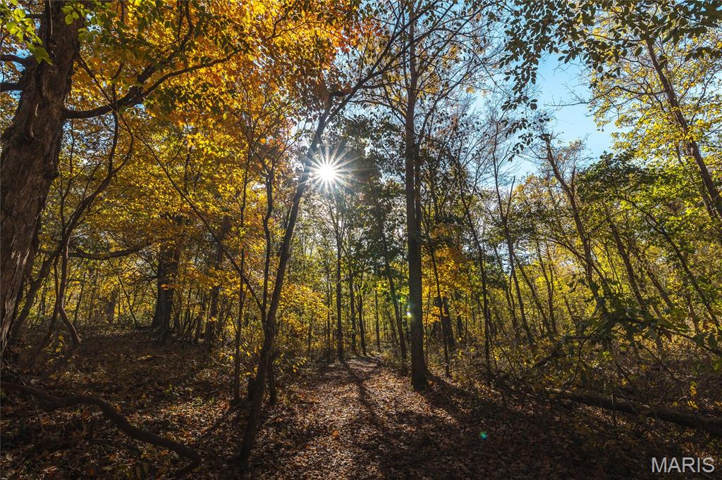 320 Cedar Ford Road Steelville, MO 65565 - Photo 68 of 71