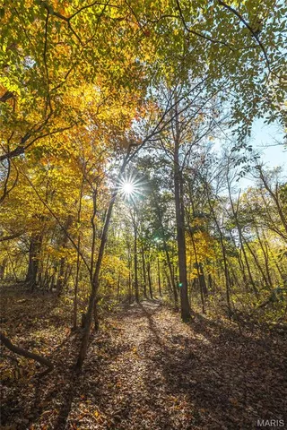 $1,699,900 | 320 Cedar Ford Road, Steelville, MO 65565