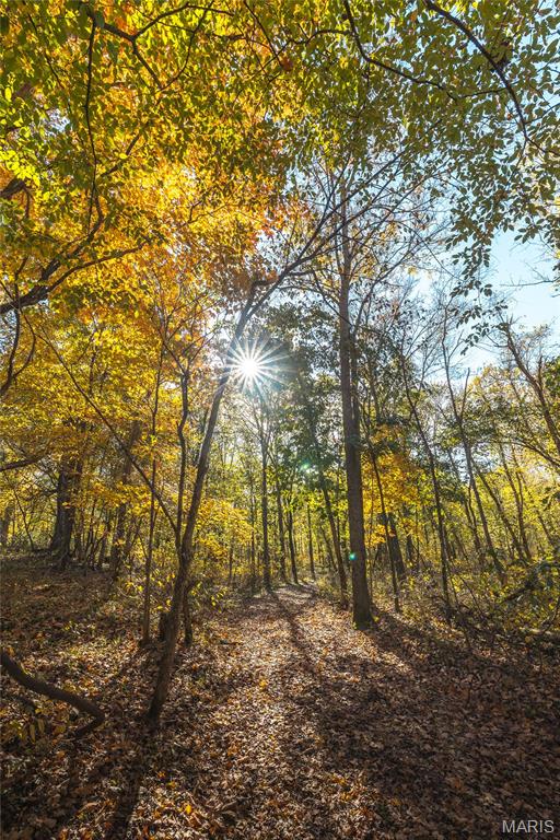 320 Cedar Ford Road Steelville, MO 65565 - Photo 69 of 71