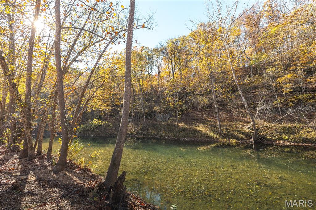 320 Cedar Ford Road Steelville, MO 65565 - Photo 71 of 71