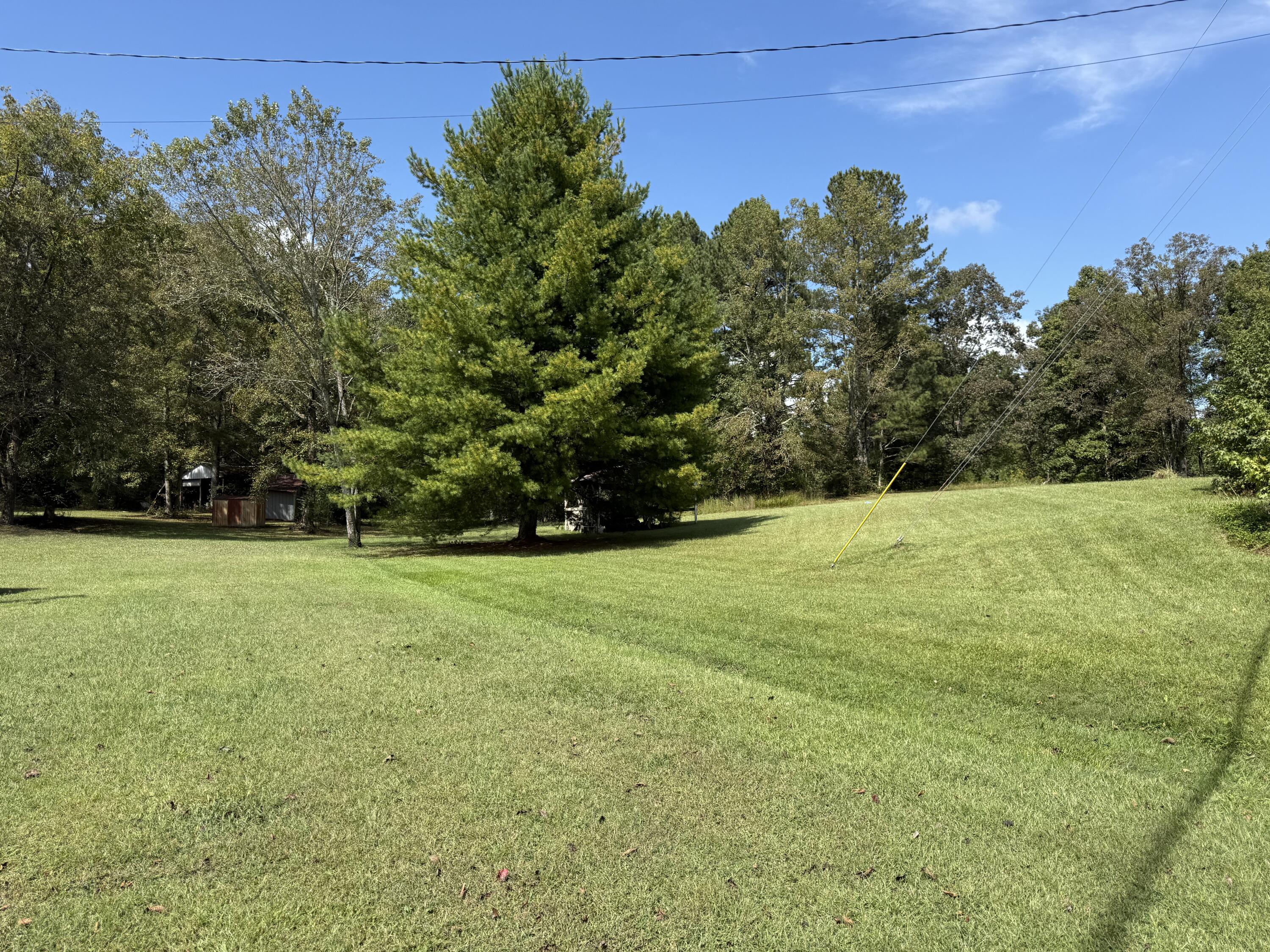 1931 Cooper Road Cohutta, GA 30710 - Photo 4 of 14 IMG_6713