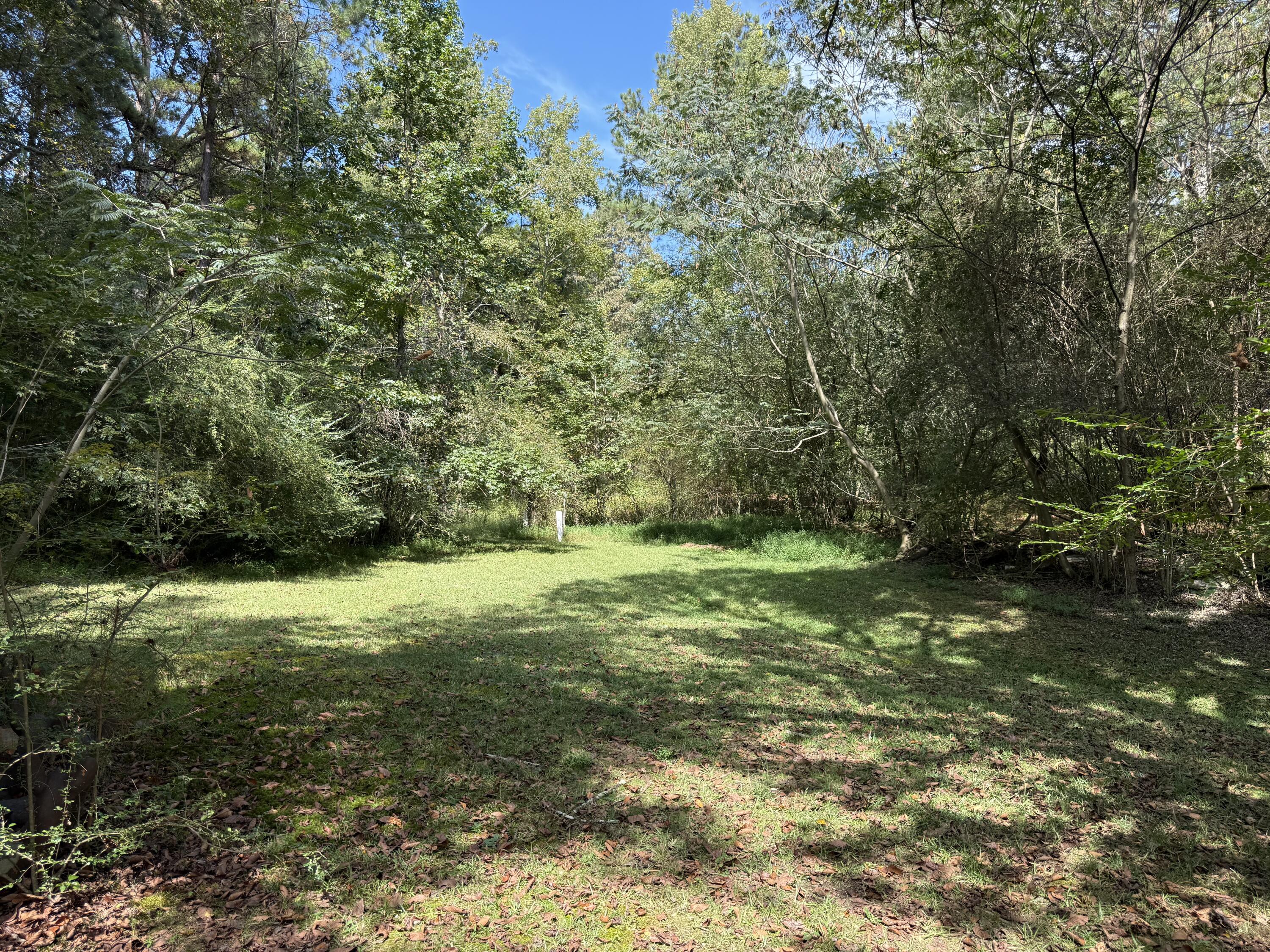 1931 Cooper Road Cohutta, GA 30710 - Photo 5 of 14 IMG_6717