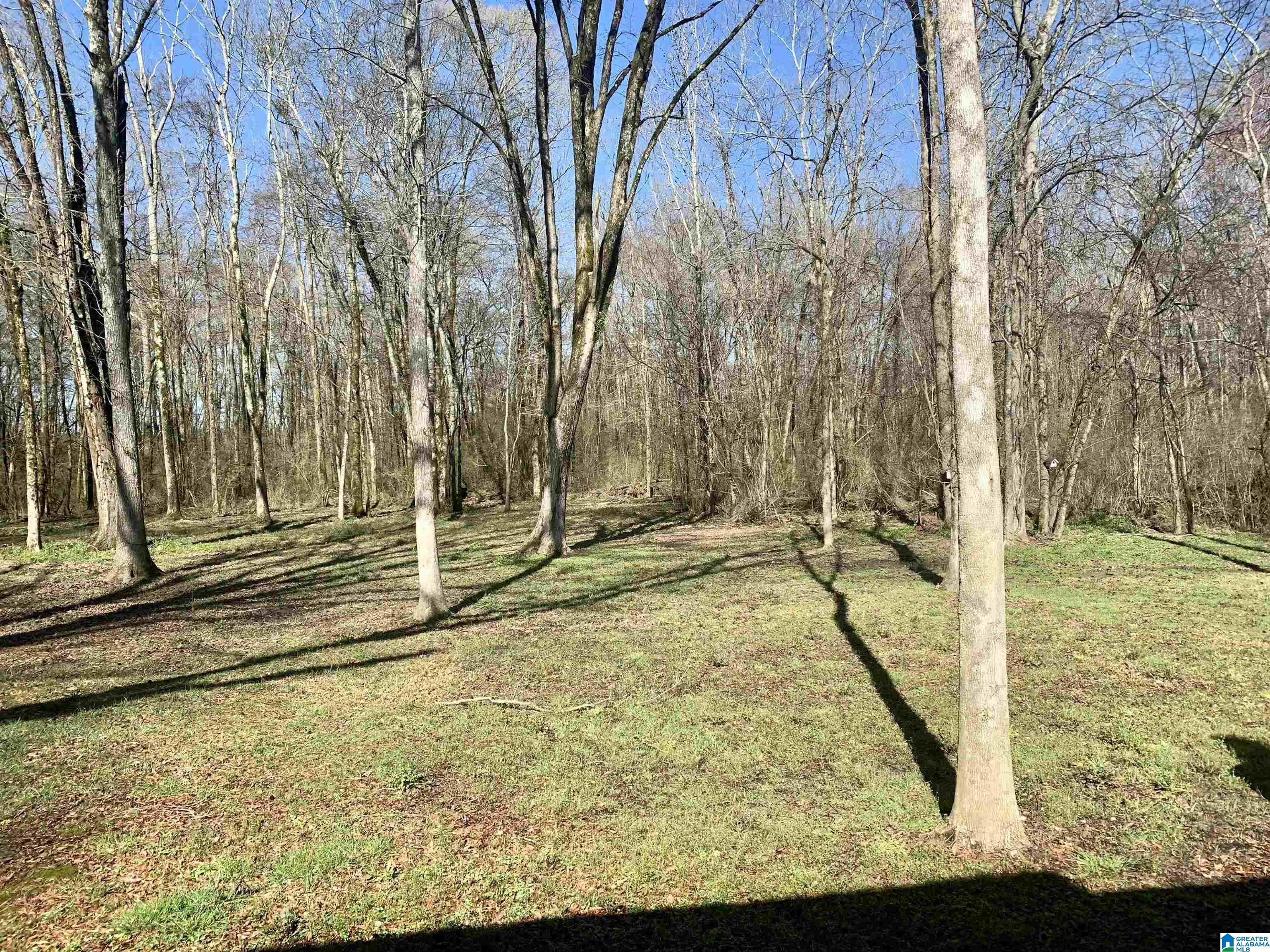 233 Country Lake Road Guntersville, AL 35976 - Photo 15 of 15