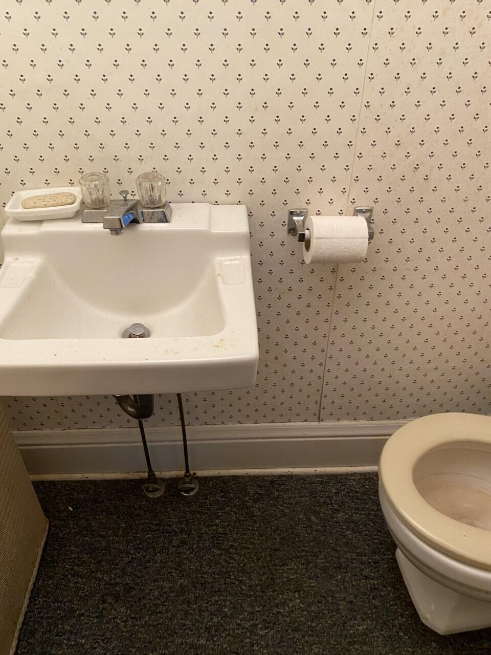 65988 North Centerville Road Sturgis, MI 49091 - Photo 11 of 14 Centerville half bath