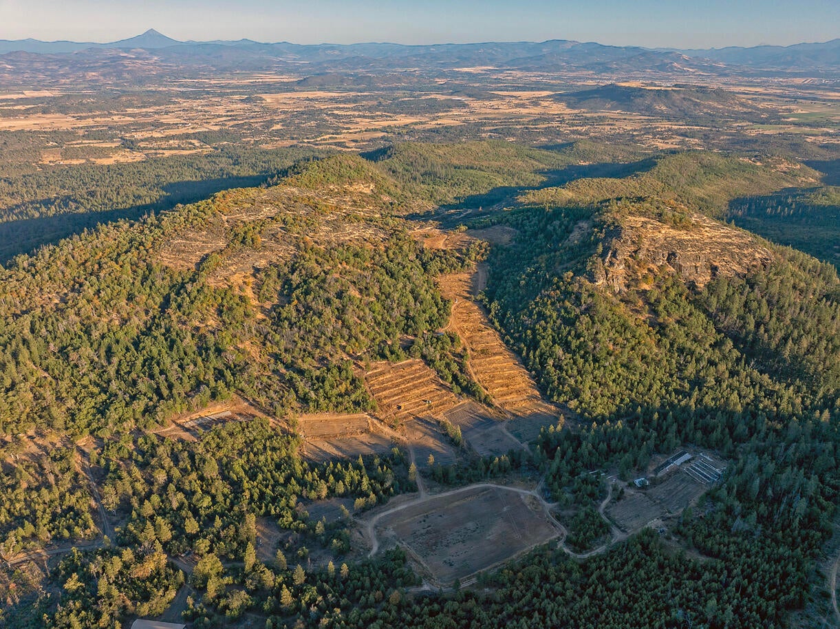 14738 Ramsey Road White City, OR 97503 - Photo 26 of 55 DJI_20241008173221_0633_D copy