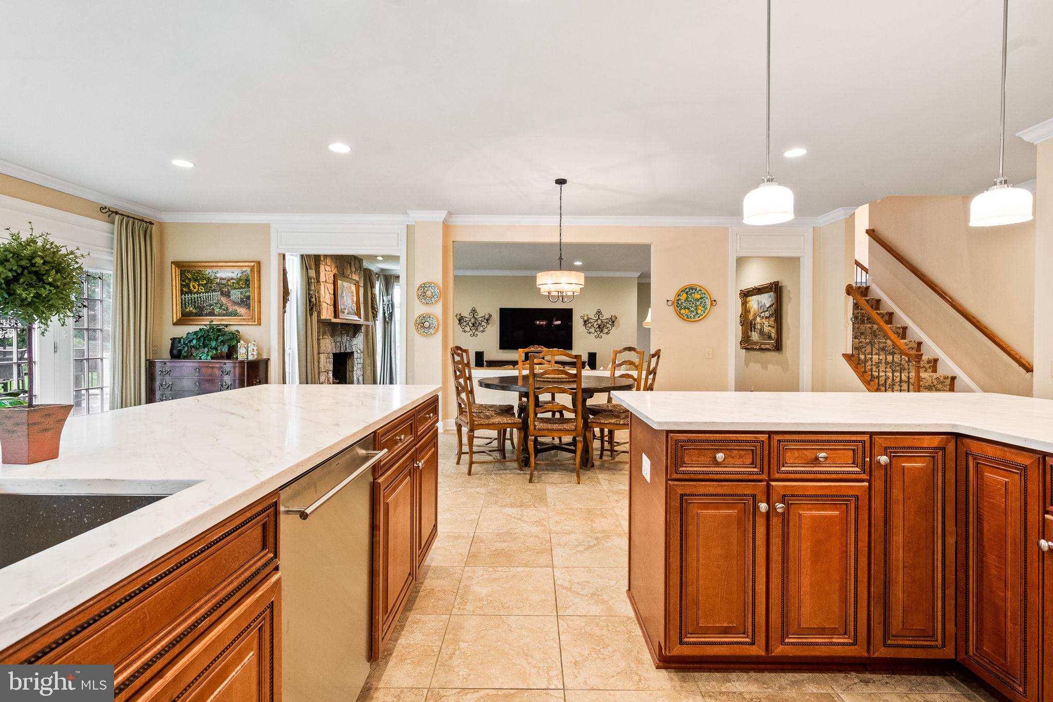 20899 McIntosh Place Leesburg, VA 20175 - Photo 16 of 69 Gourmet kitchen