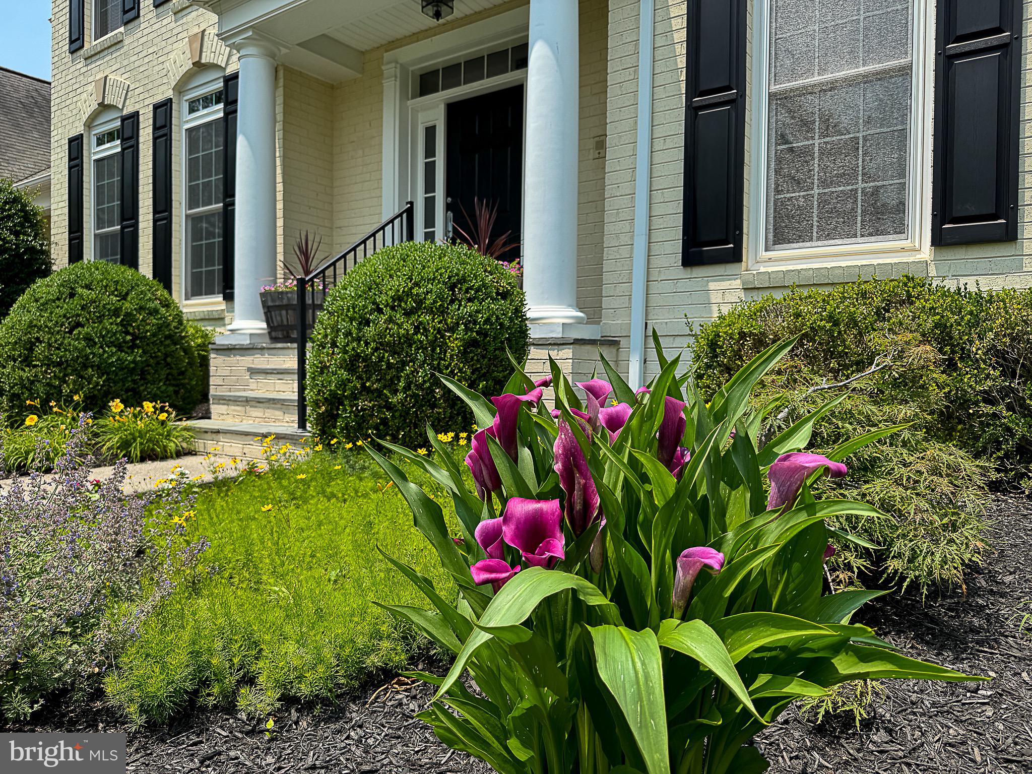 20899 McIntosh Place Leesburg, VA 20175 - Photo 43 of 69