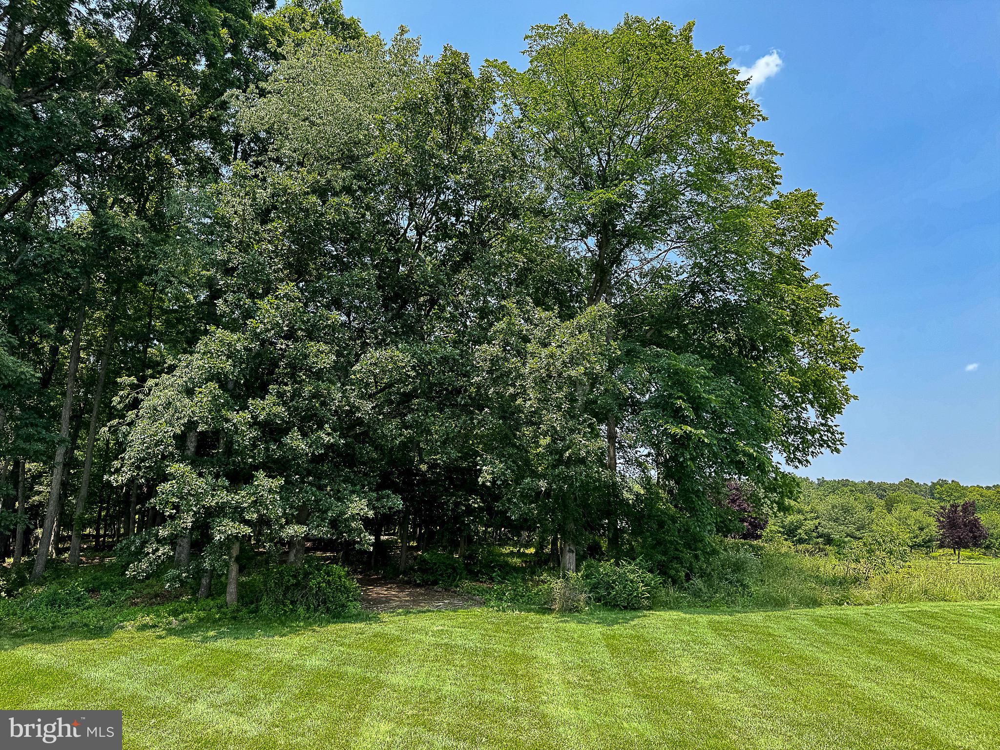 20899 McIntosh Place Leesburg, VA 20175 - Photo 59 of 69 a view of yard with green space