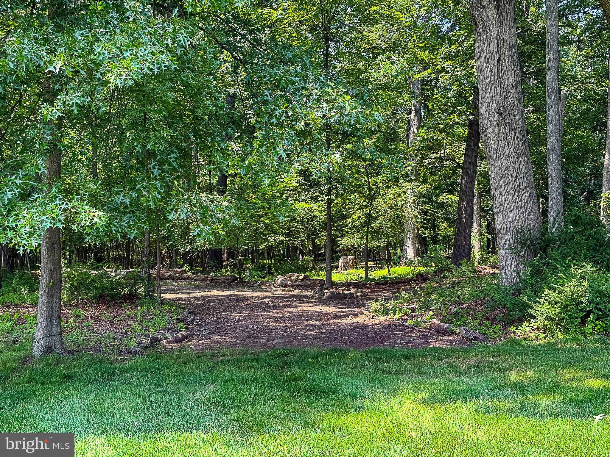 20899 McIntosh Place Leesburg, VA 20175 - Photo 62 of 69 Trails in the woods