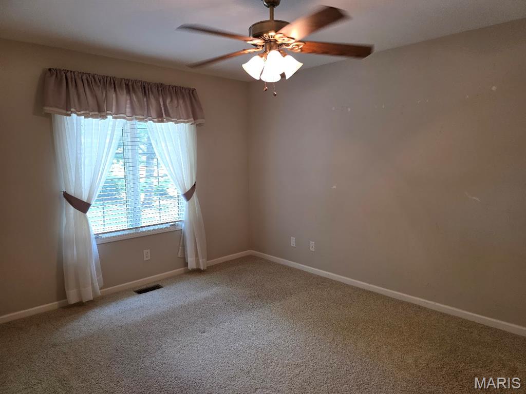 302 Lorean Drive Troy, IL 62294 - Photo 31 of 45