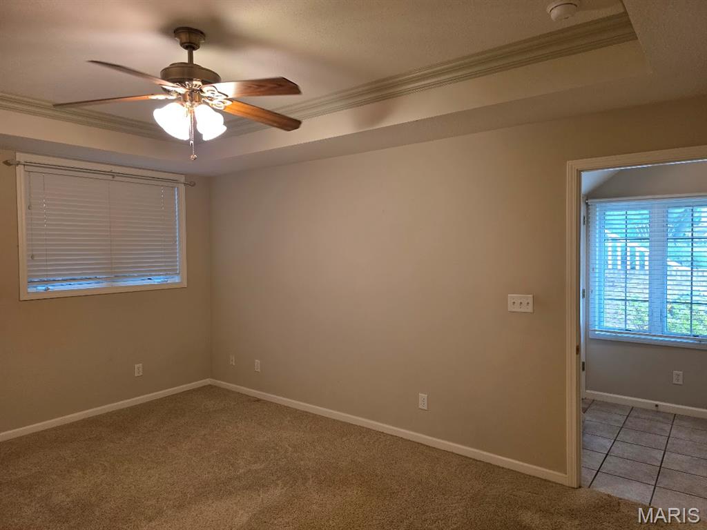 302 Lorean Drive Troy, IL 62294 - Photo 37 of 45