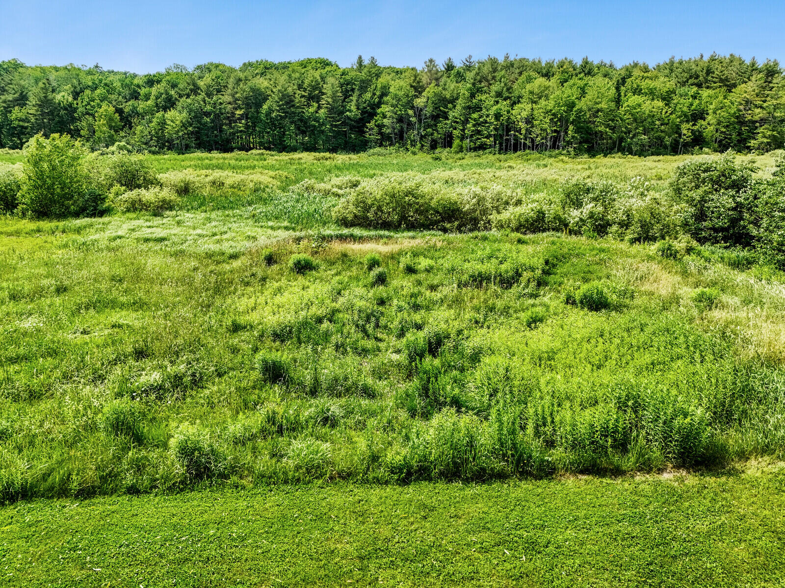 406 Cony Road Augusta, ME 04330 - Photo 15 of 59 57_DJI_20240618150115_0187_D_DxO_mls