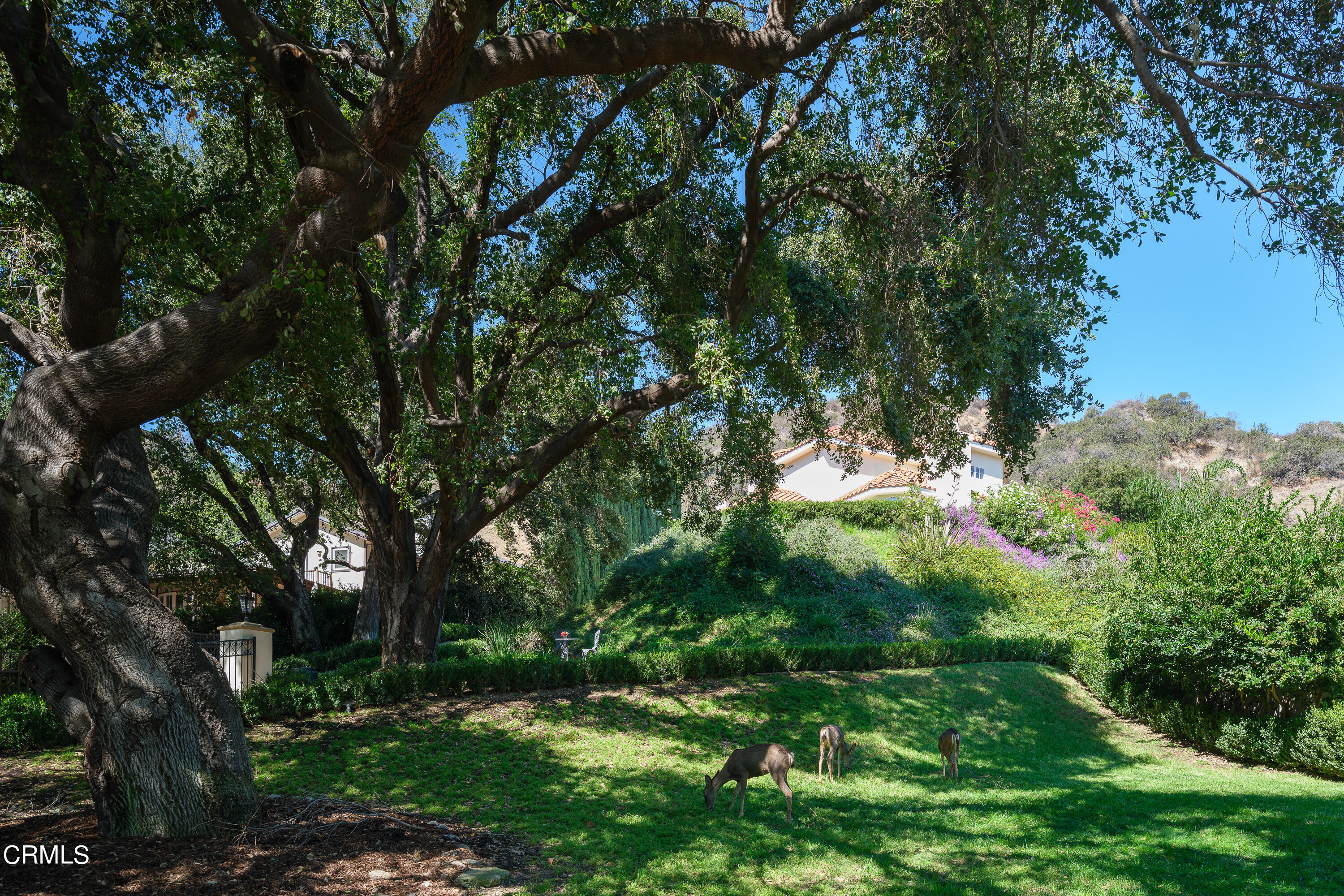 53 Hidden Valley Road Monrovia, CA 91016 - Photo 4 of 75 NPW_53NorthHiddenValley_004_FLEXMLS