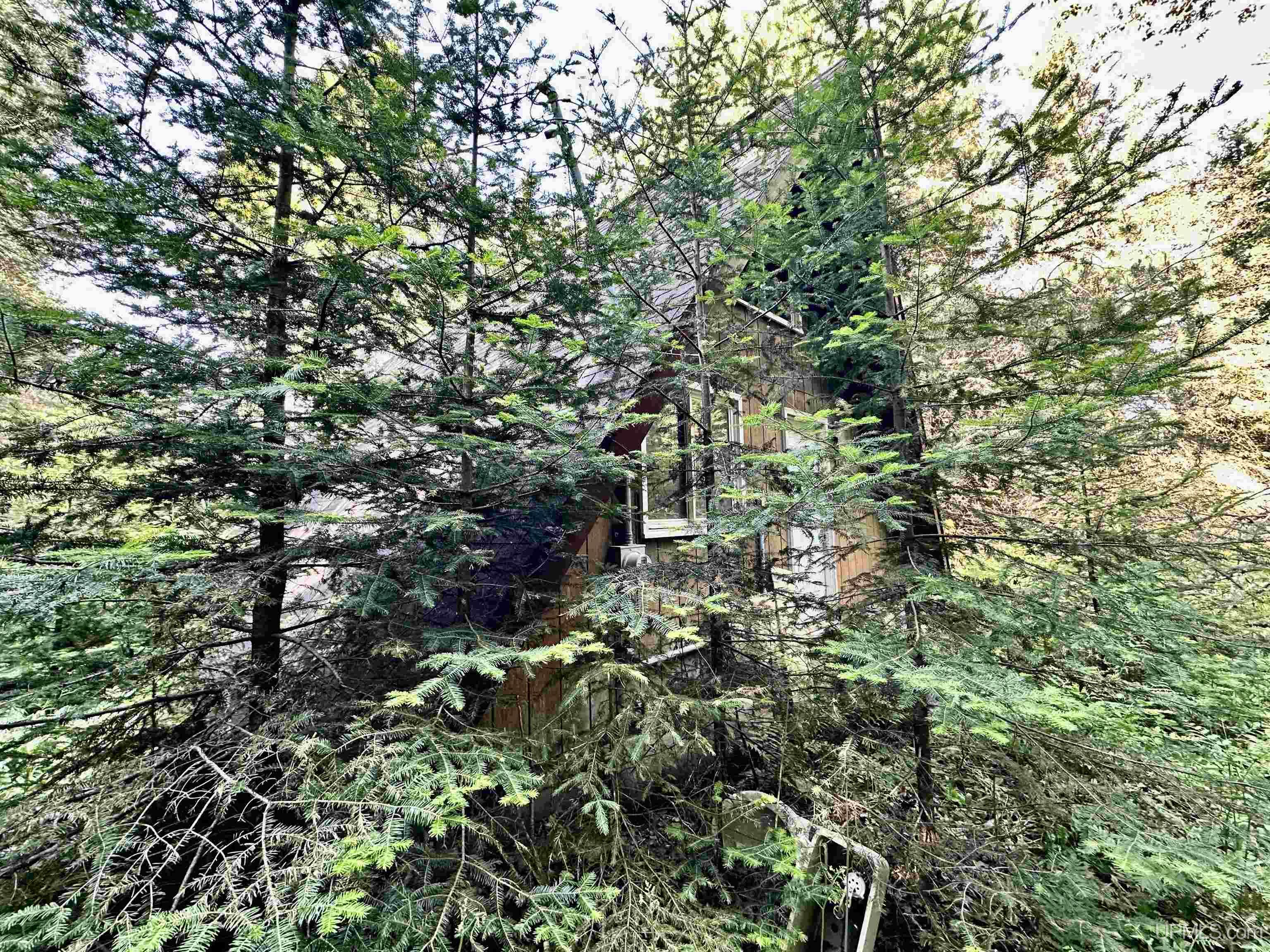 N972 Winters Road Rapid River, MI 49878 - Photo 4 of 4 Gallery Image 4