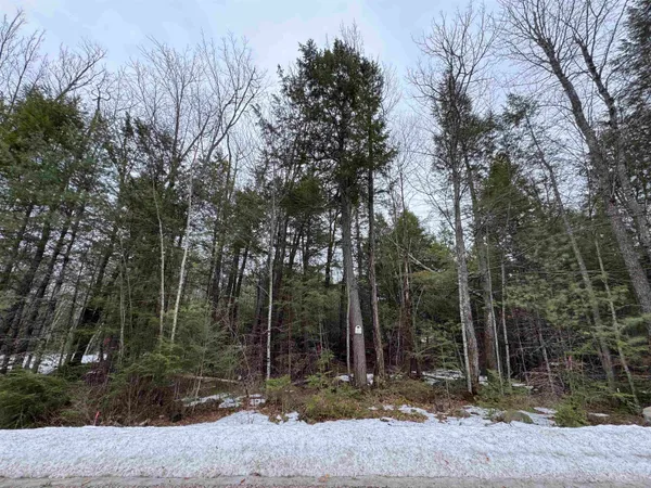 $180,000 | 26-14 Winnipesaukee Drive, Unit TOWN LOT 26 SUBDIVISION LOT 14, Wolfeboro, NH 03894