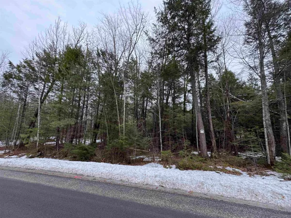 $180,000 | 26-14 Winnipesaukee Drive, Unit TOWN LOT 26 SUBDIVISION LOT 14, Wolfeboro, NH 03894